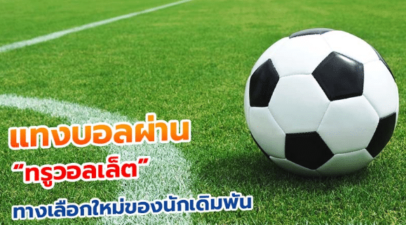 แทงบอล77