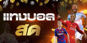 เว็บแทงบอลไม่มีขั้นต่ำ