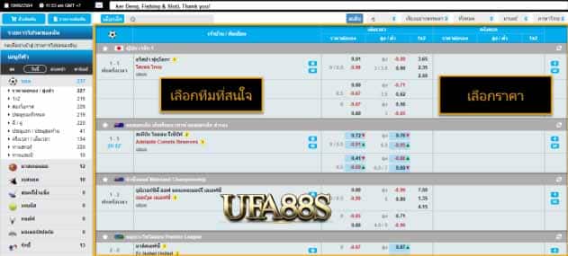 พนันบอล ufapro